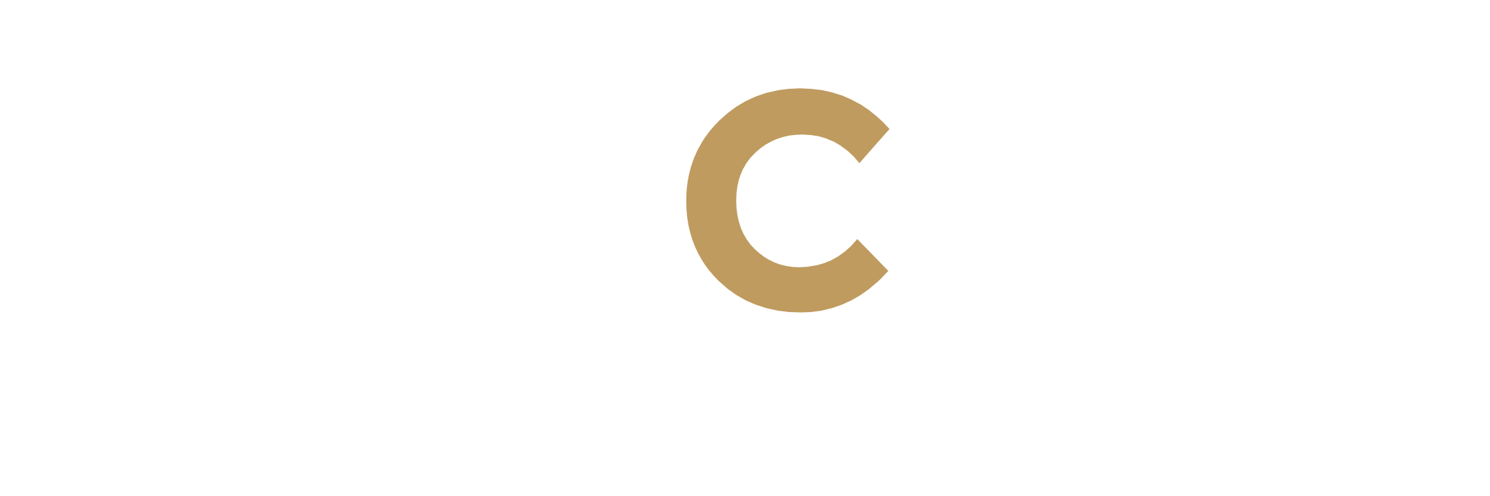 DCF Logo — Primary (White / Reversed)